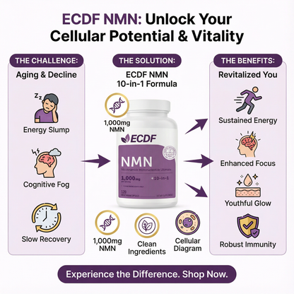 NMN 10-in-1 NAD⁺ Booster