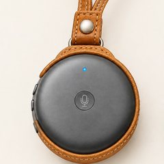 Carrying case