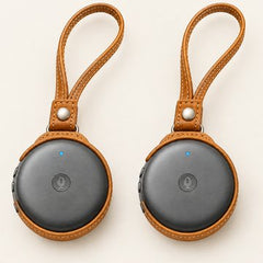 Two ECDF AI Translators in their carrying cases