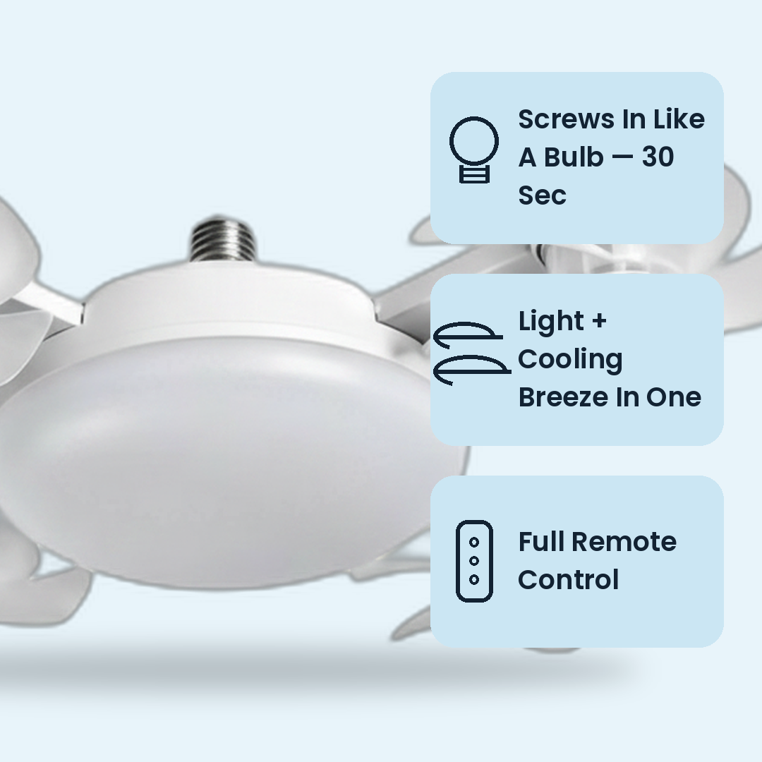 fan light feature 1