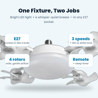 fan light feature 3