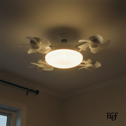 ECDF - product_image_02